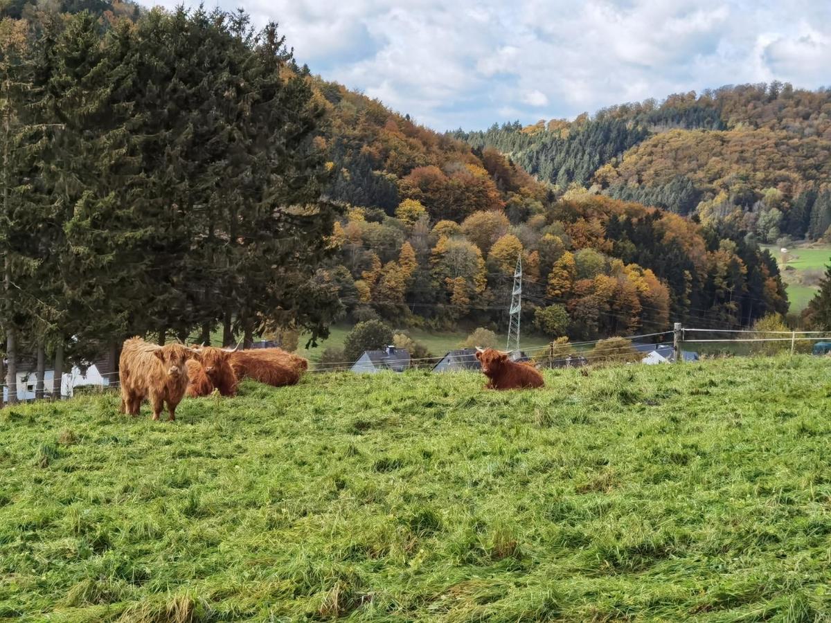 Ferienhaus Waldblick Hohenfels-Essingen Kültér fotó