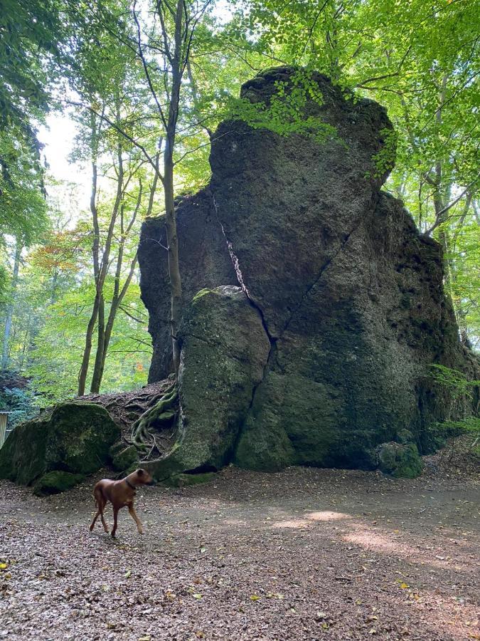 Ferienhaus Waldblick Hohenfels-Essingen Kültér fotó